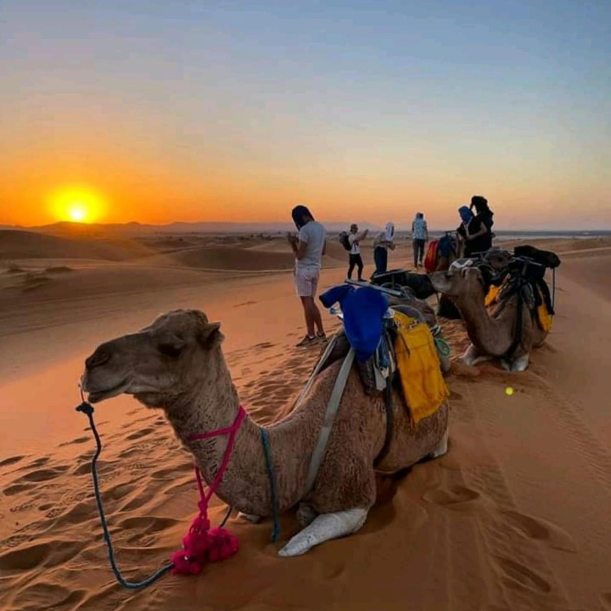 Erg Chebbi Romantic Desert Camp Мерцуга Екстериор снимка