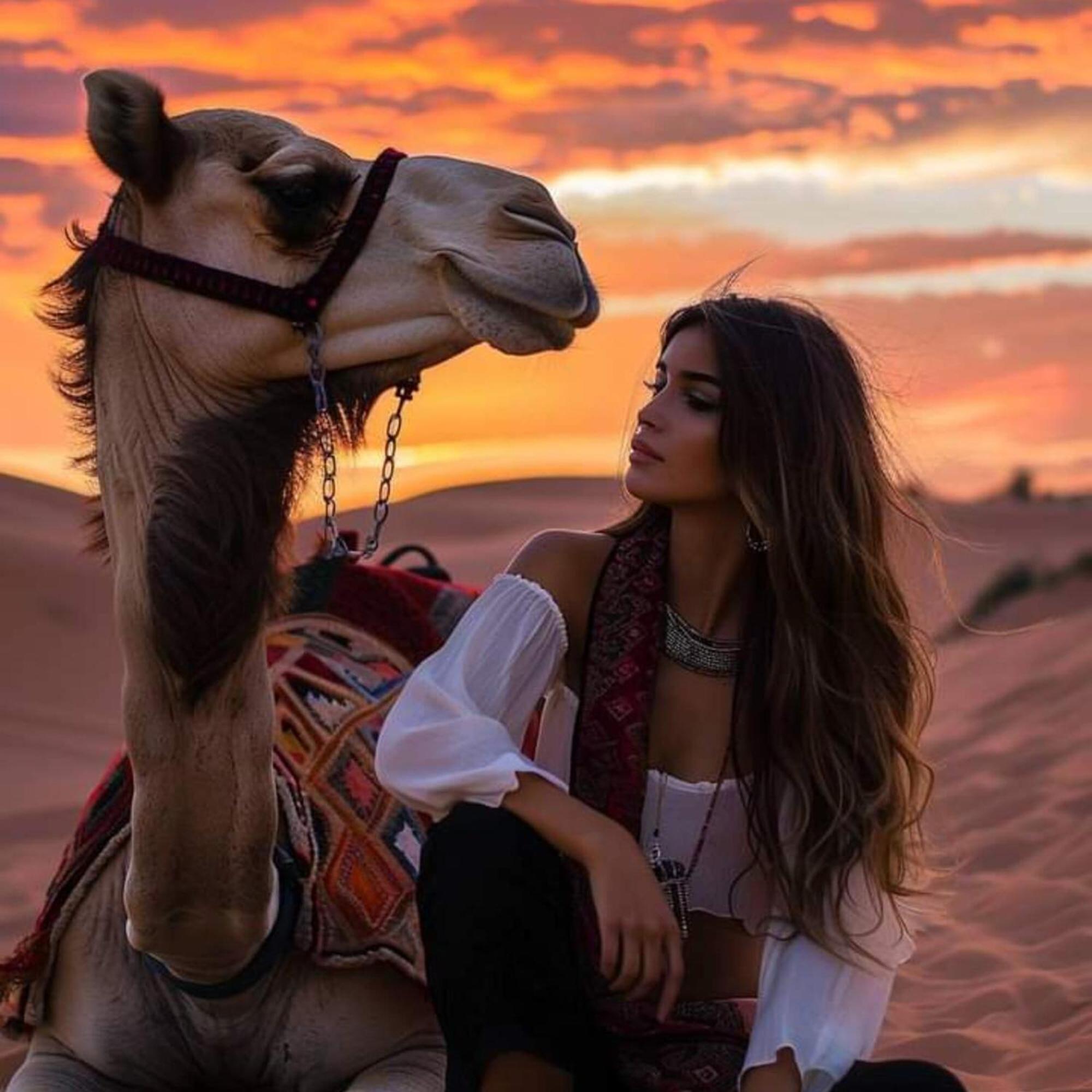 Erg Chebbi Romantic Desert Camp Мерцуга Екстериор снимка